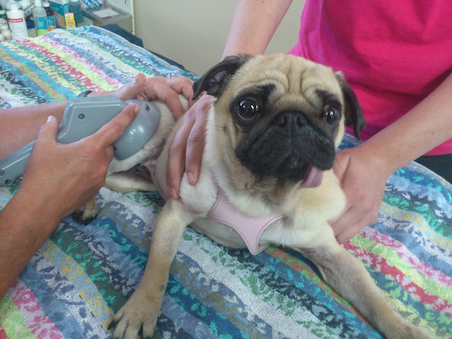 Peggy