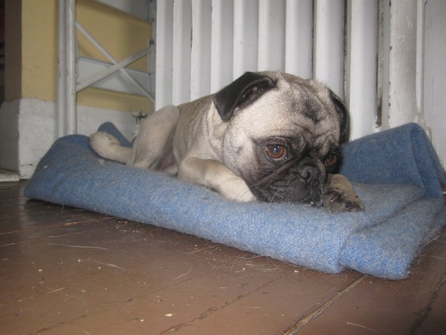 Rupert