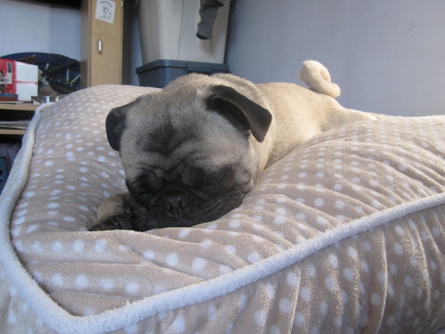Rupert