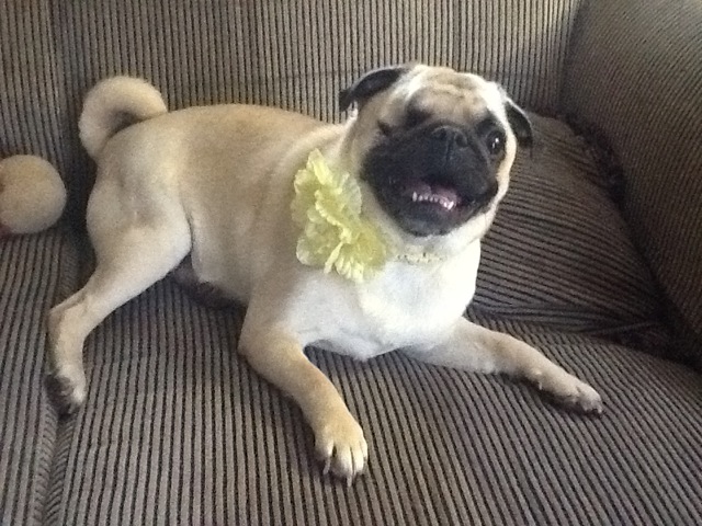 Tinka
