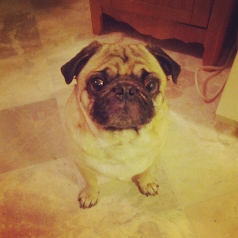 Dexter