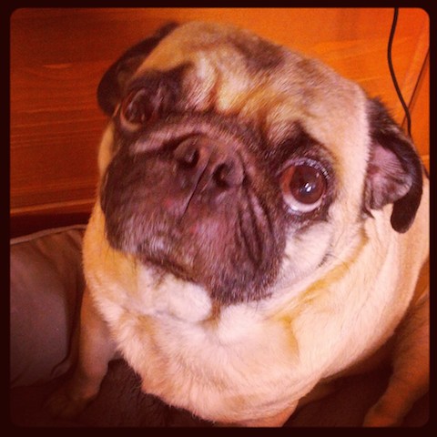 Dexter