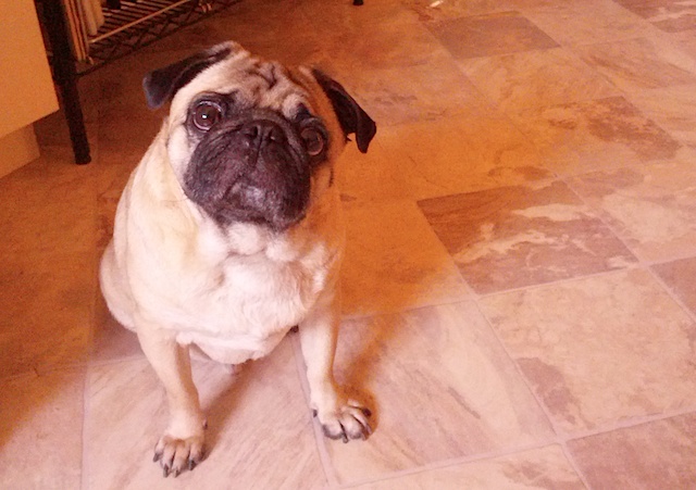 Dexter