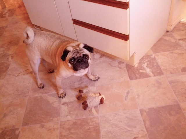 Dexter