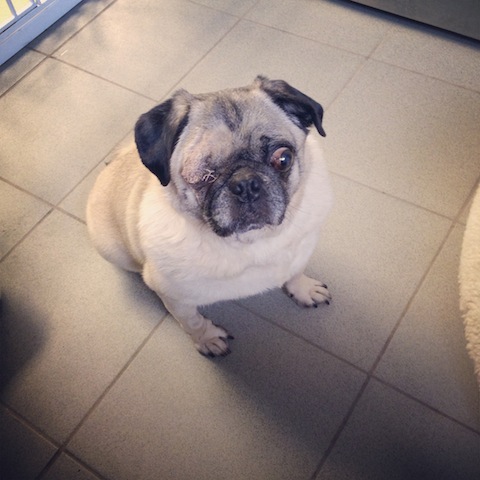 Quincy