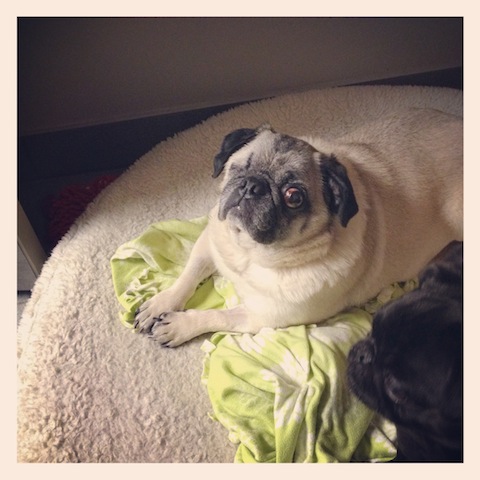 Quincy