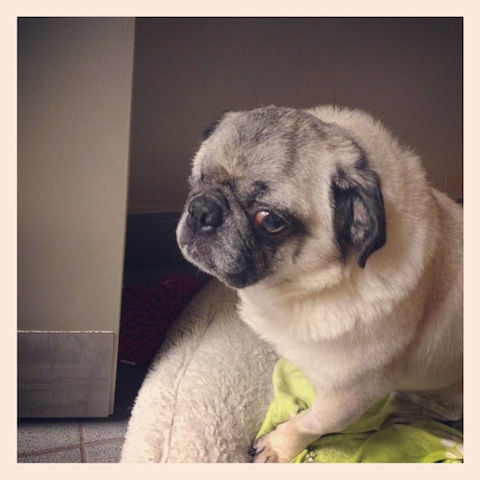 Quincy