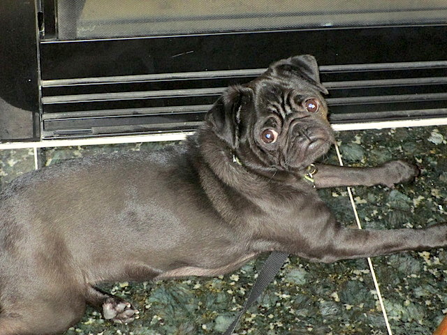 Rosie