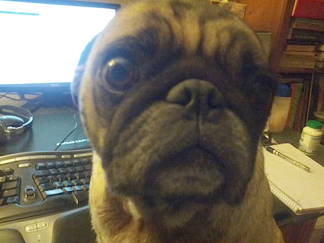 Victor