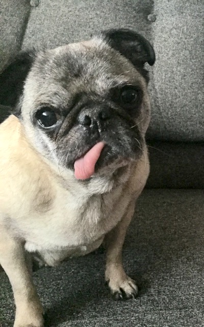 Abby