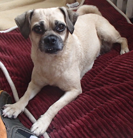 Betty