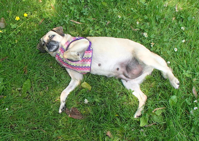 Betty