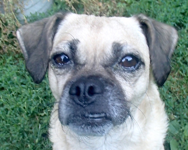 Betty