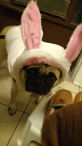 boo