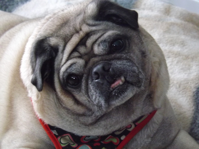 Humphrey