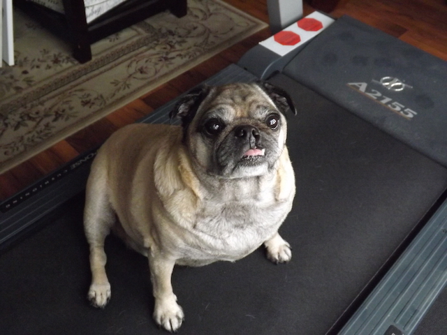 Humphrey