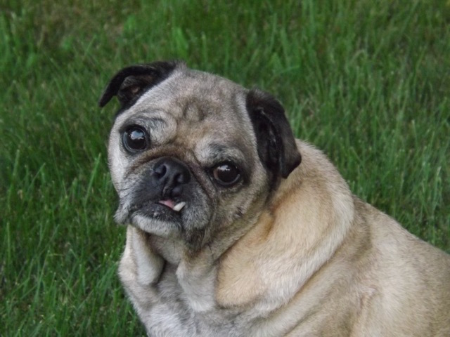 humphrey