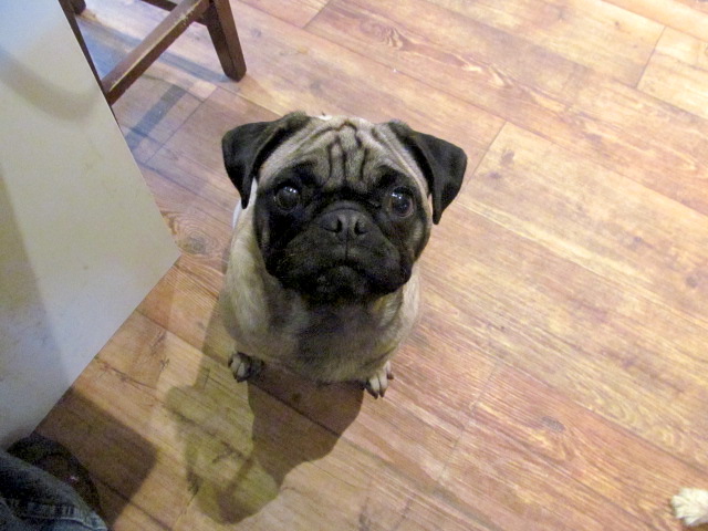 Lila