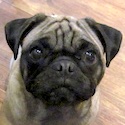 Lila