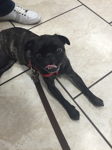 Lola