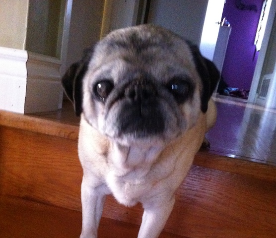 maddy