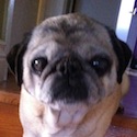 Maddy