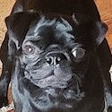 Marty