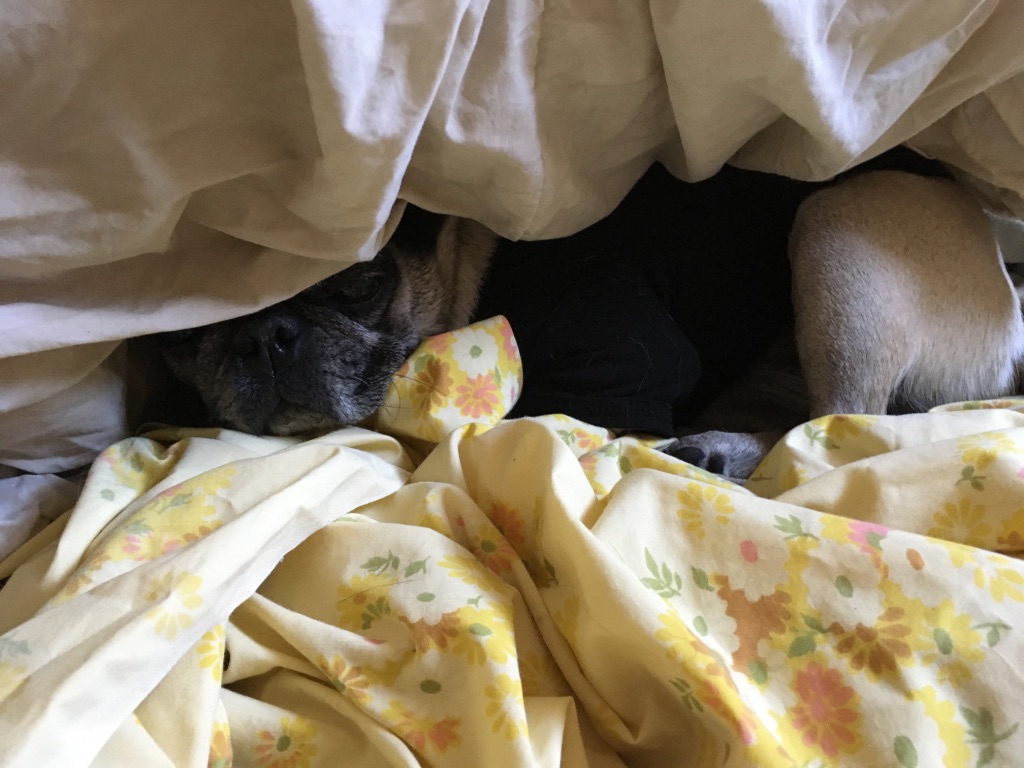 nacho