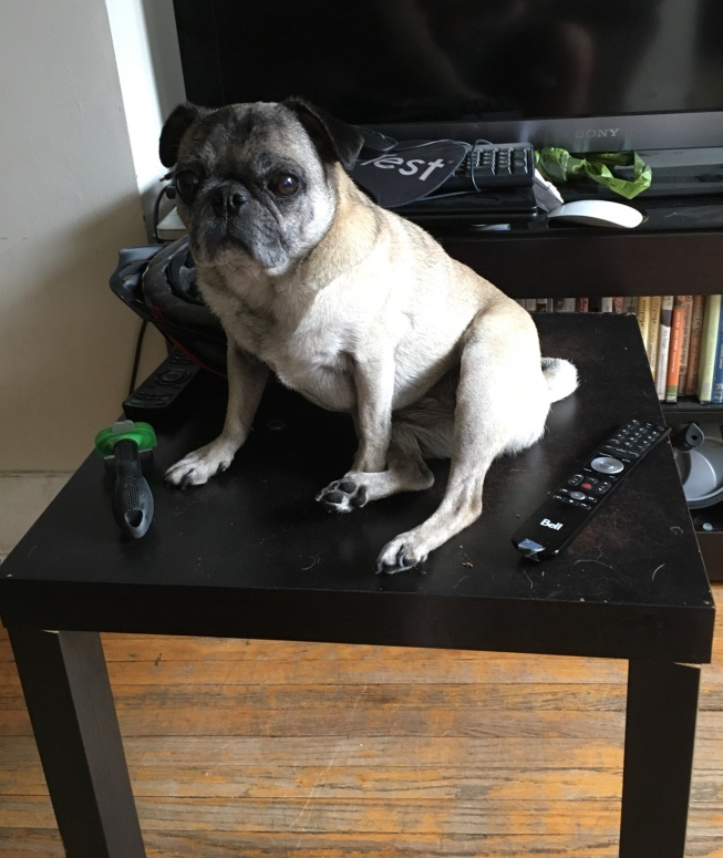 nacho