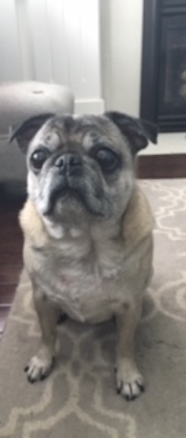 Nacho