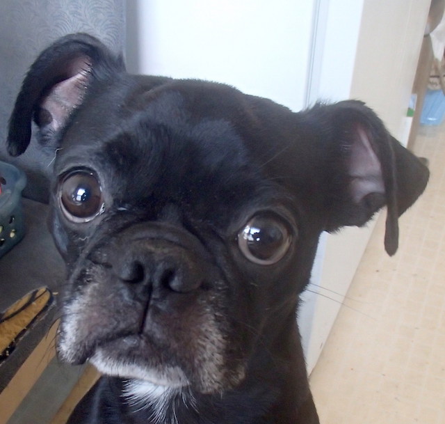 Oskar