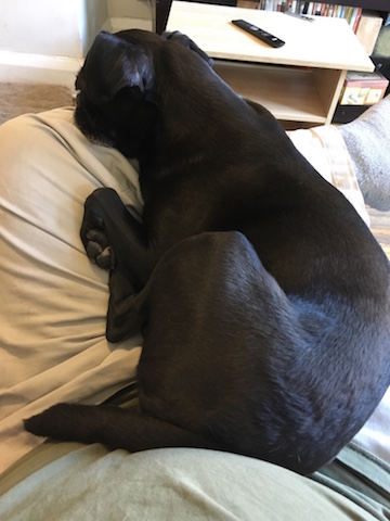 Oskar