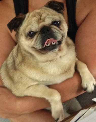 Pippa