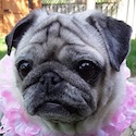 Lucy