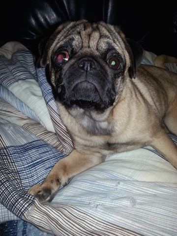 Rosey