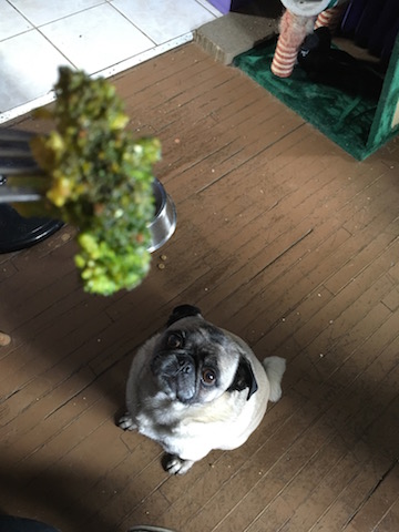Rupert