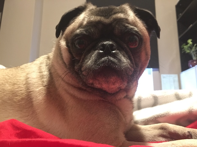 Rupert