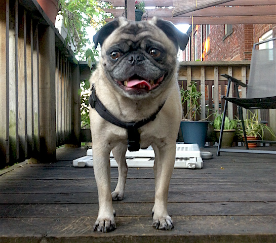 Rupert