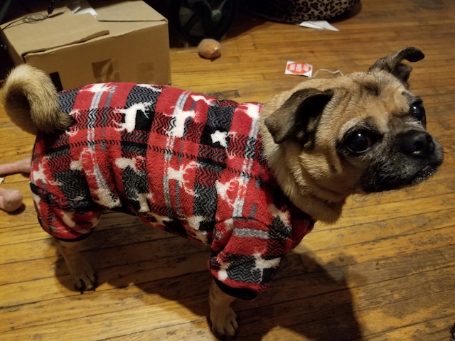 Tawnie