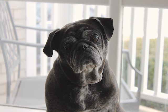 Tilly