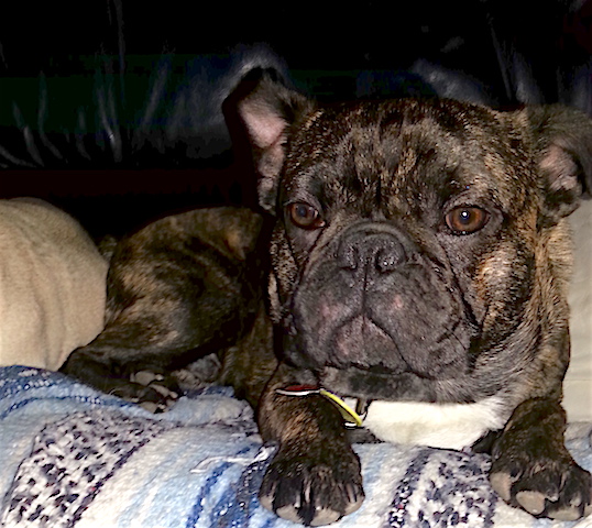 Truman