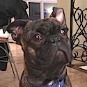 Truman