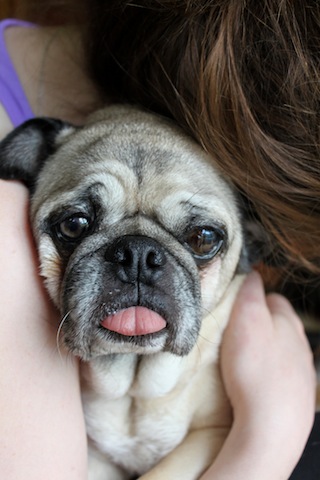 Mookie